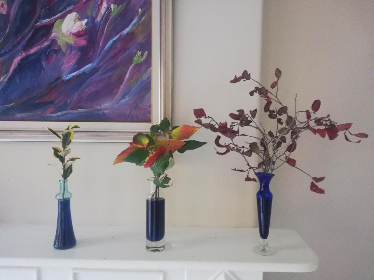 Ashtree Guesthouse Гановер Екстер'єр фото